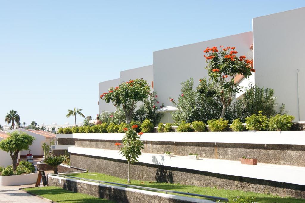 Island Village Playa de las Americas  Exteriör bild